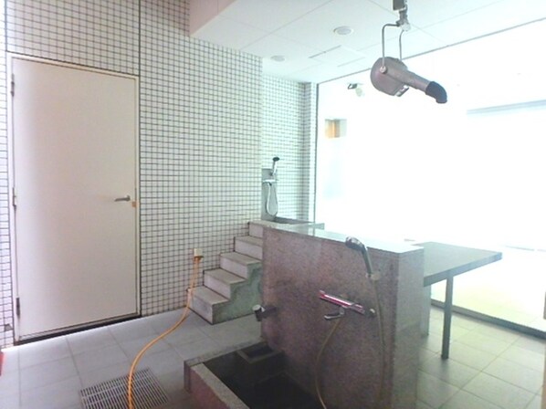 東池袋デュープレックスリズの物件内観写真